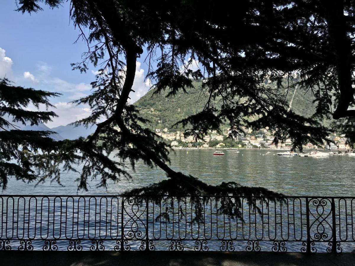 La Casa Di Nina - Meda Daire Dış mekan fotoğraf